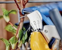 Rapid Pince à Tuteurer GP238 Pince à Becs Ronds 24311200 -Pinces et ciseaux Soldes gp238 pince a becs ronds 24311200 4